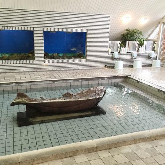 Kankoso Katashina Luaran gambar